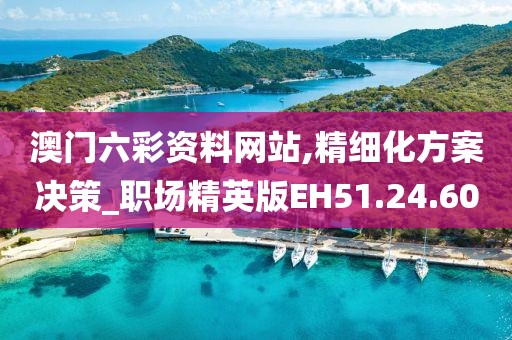澳門六彩資料網站,精細化方案決策_職場精英版EH51.24.60