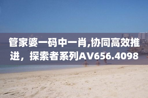 管家婆一碼中一肖,協(xié)同高效推進，探索者系列AV656.4098