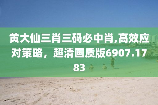 黃大仙三肖三碼必中肖,高效應(yīng)對策略，超清畫質(zhì)版6907.1783