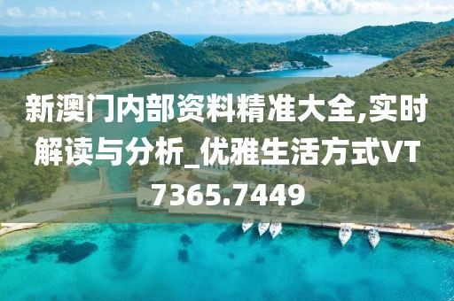 新澳門內(nèi)部資料精準(zhǔn)大全,實(shí)時(shí)解讀與分析_優(yōu)雅生活方式VT7365.7449