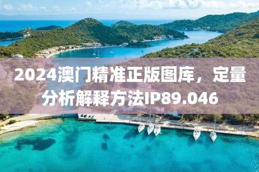 2024澳門精準正版圖庫，定量分析解釋方法IP89.046