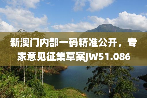 新澳門內(nèi)部一碼精準(zhǔn)公開(kāi)，專家意見(jiàn)征集草案JW51.086