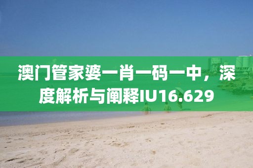 澳門管家婆一肖一碼一中，深度解析與闡釋IU16.629