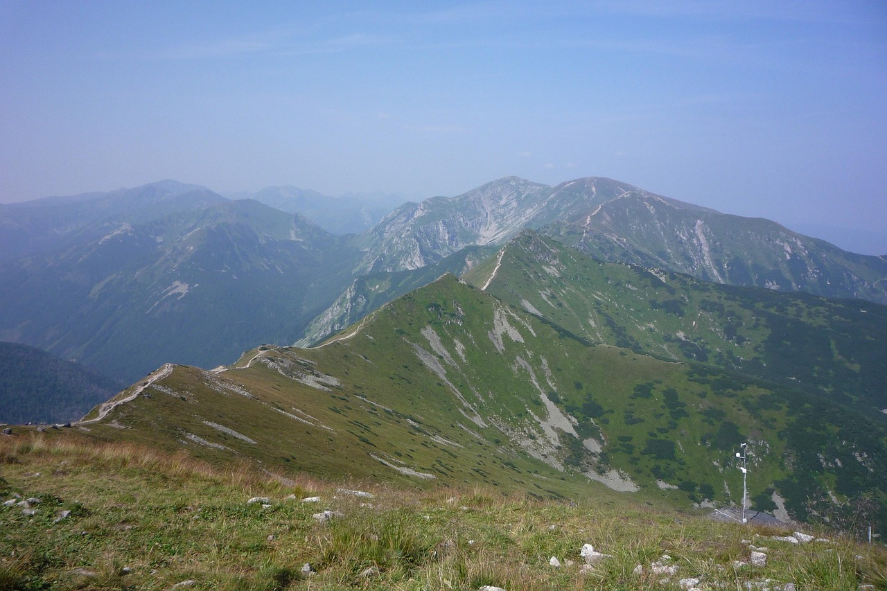 游戲產(chǎn)業(yè)最新消息概覽，動(dòng)態(tài)與發(fā)展概述
