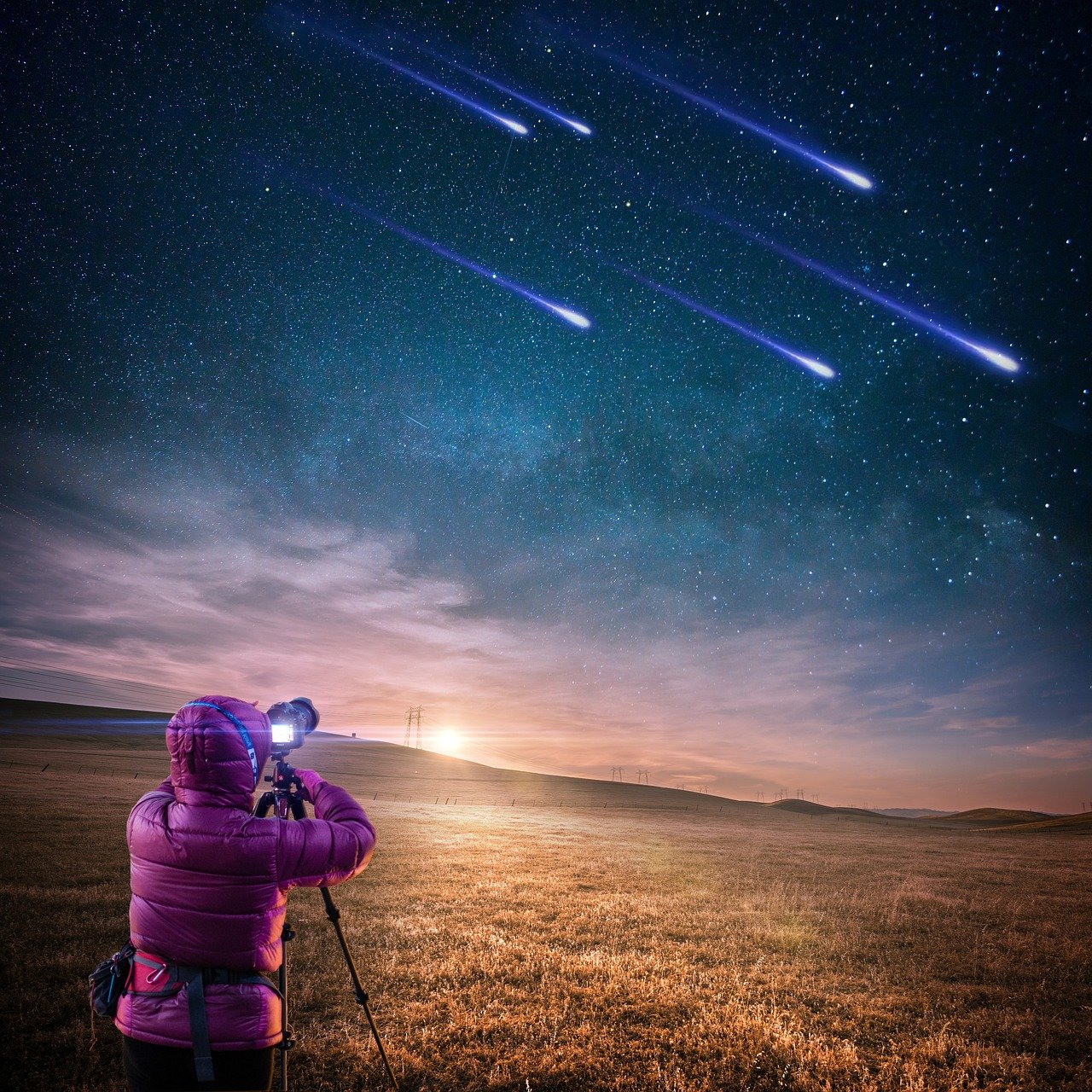 肖戰(zhàn)參加星光璀璨之夜活動
