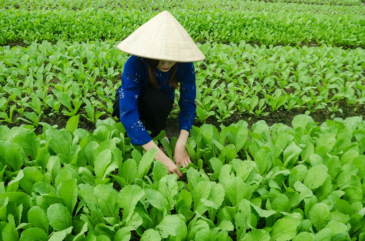 宣漢最新發(fā)展動態(tài)概覽