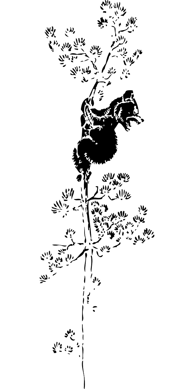 動物世界最新動態(tài)，探尋生存法則與生態(tài)演變之旅
