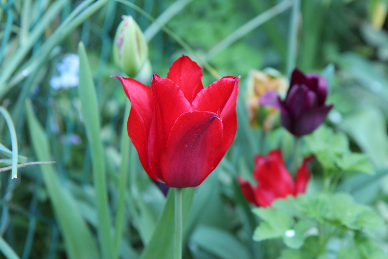 五月花開(kāi)，新公司上市大揭秘