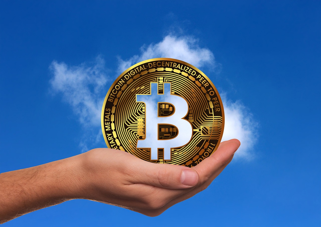 五月云南洋蔥最新價格行情分析與趨勢預測